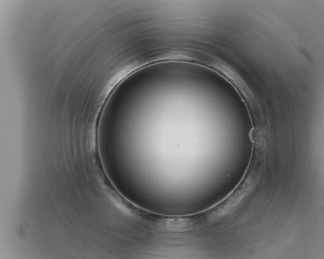 X0000113210858200909171533