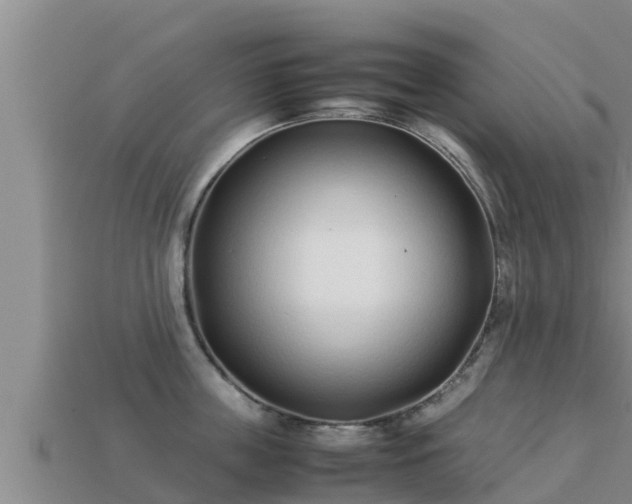 X0000113210859200909171533