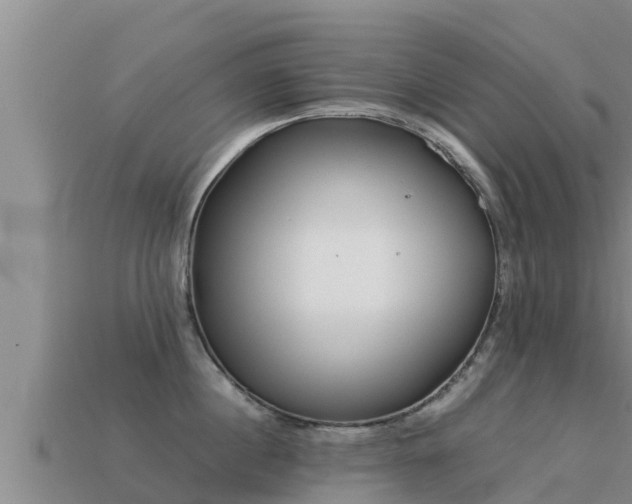 X0000113210860200909171533