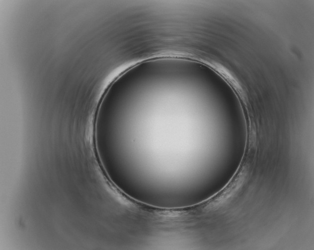 X0000113210862200909171533