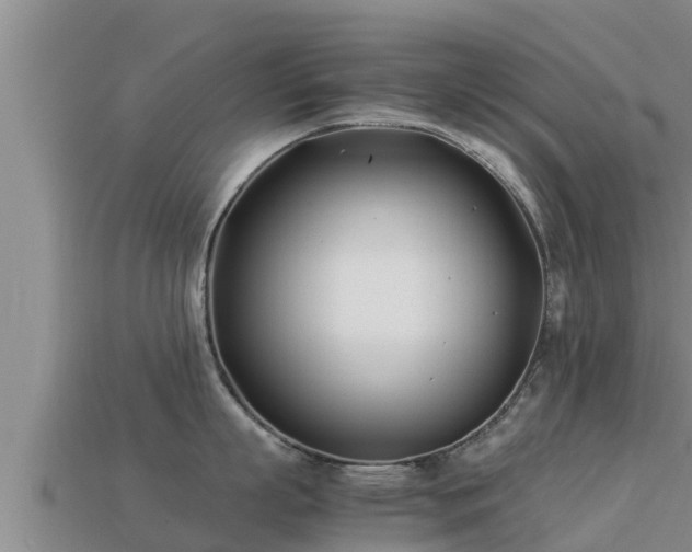 X0000113210863200909171533