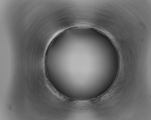 X0000113210864200909171533