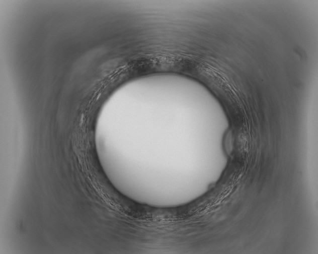 X0000113210865200909171532