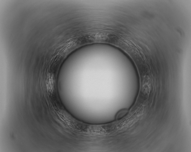 X0000113210866200909171532