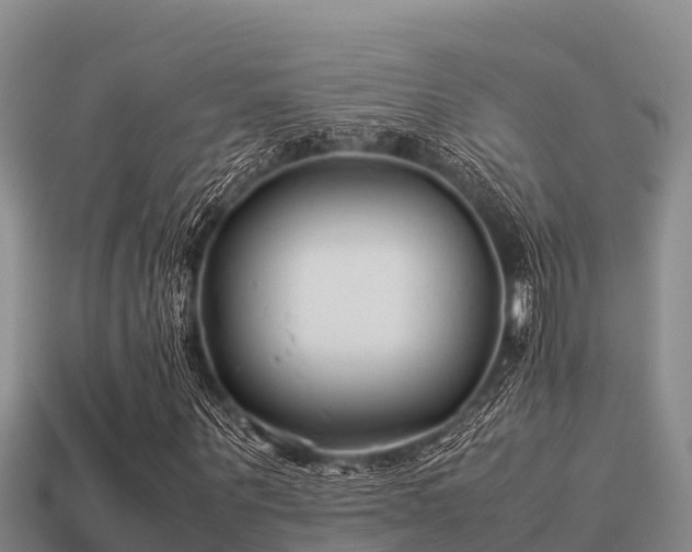 X0000113210867200909171532