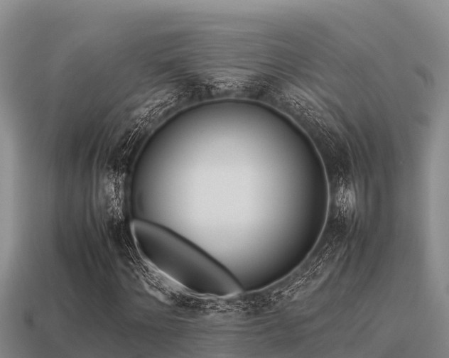 X0000113210868200909171532