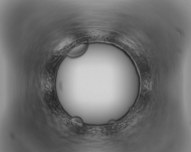 X0000113210869200909171532