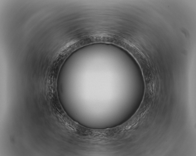 X0000113210870200909171532