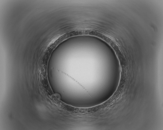 X0000113210871200909171532