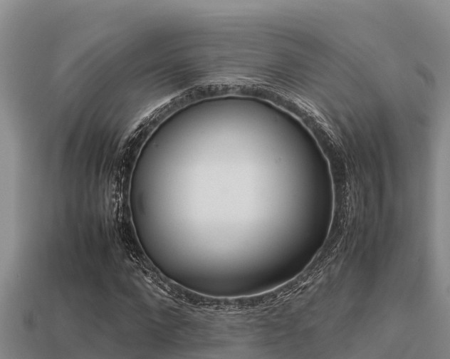 X0000113210872200909171532