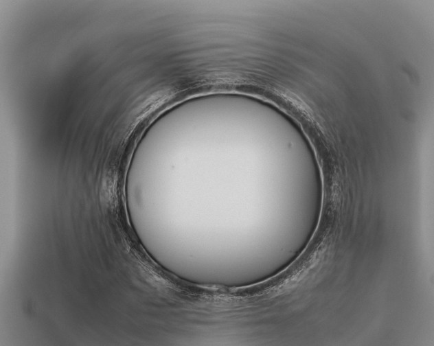 X0000113210873200909171532