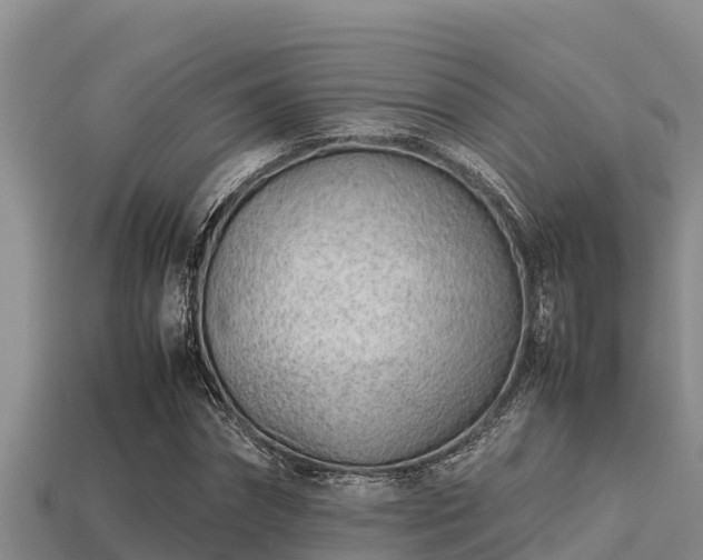 X0000113210874200909171532