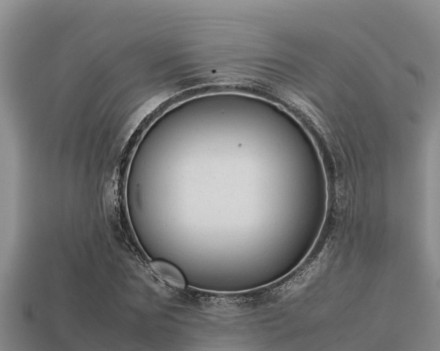 X0000113210875200909171532