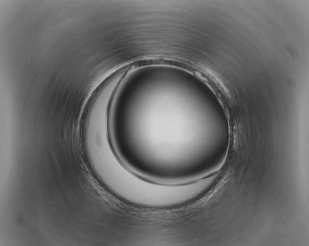 X0000113210876200909171532