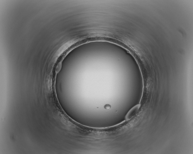 X0000113210877200909171532