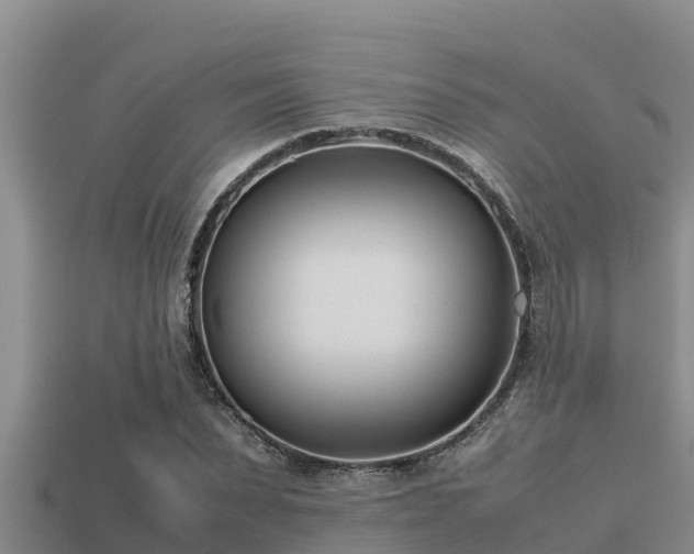 X0000113210879200909171532