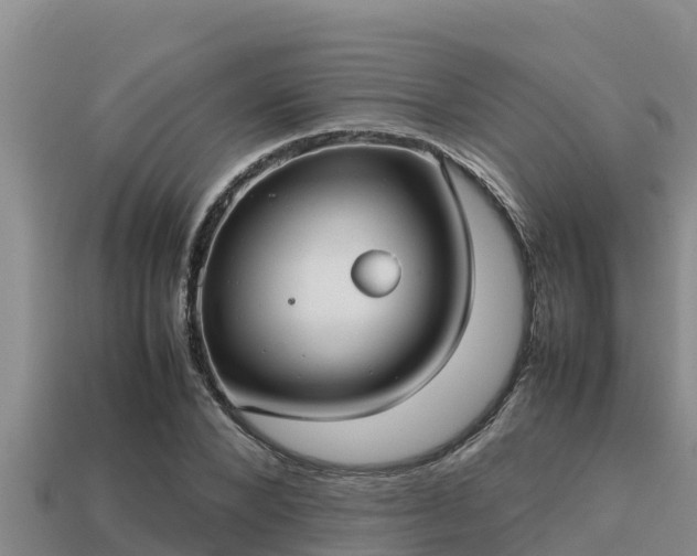 X0000113210880200909171532