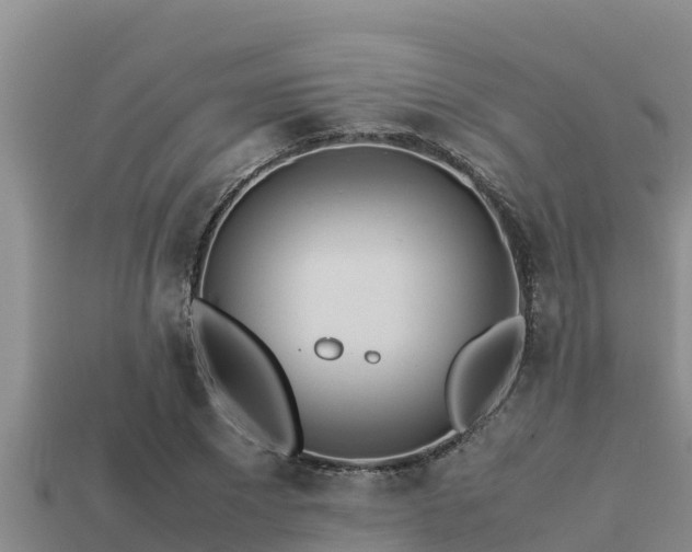 X0000113210881200909171532