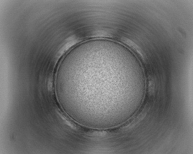 X0000113210882200909171532