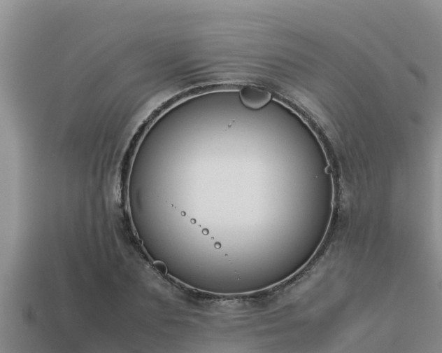 X0000113210883200909171532