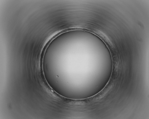 X0000113210884200909171532