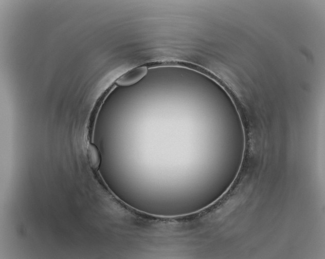 X0000113210885200909171532