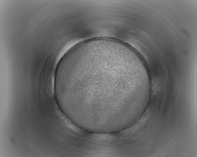 X0000113210886200909171532