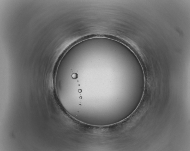 X0000113210887200909171532