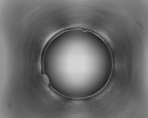 X0000113210888200909171532