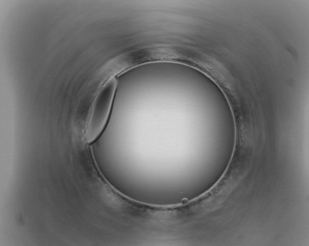 X0000113210889200909171532