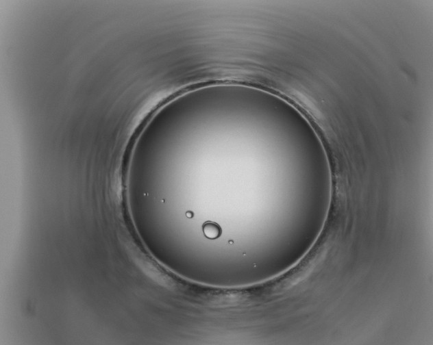 X0000113210891200909171532