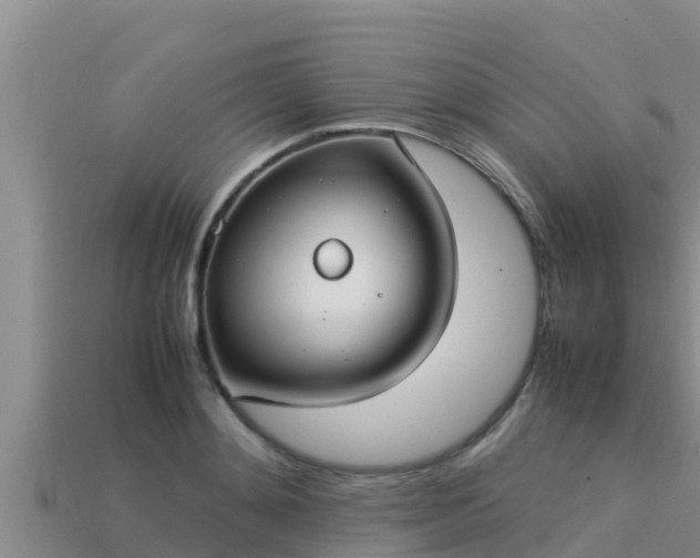 X0000113210892200909171532