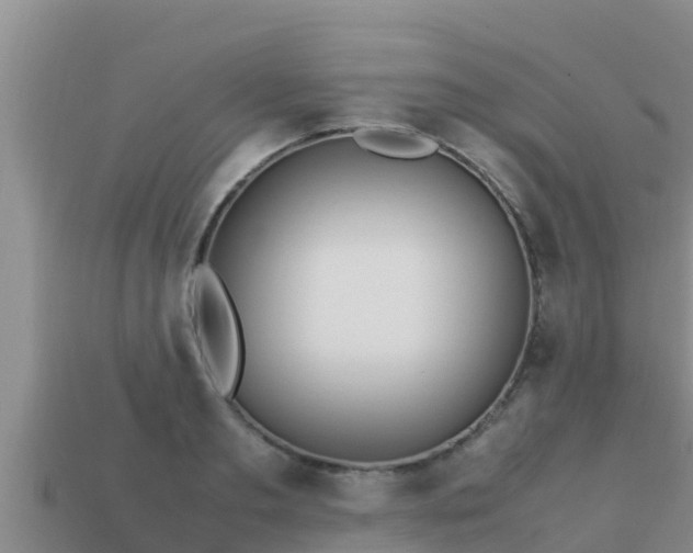 X0000113210893200909171532