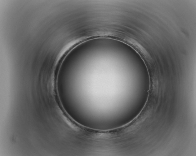 X0000113210894200909171532