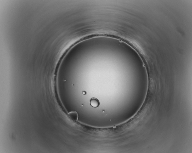 X0000113210895200909171532