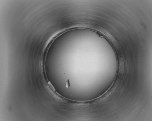 X0000113210896200909171532