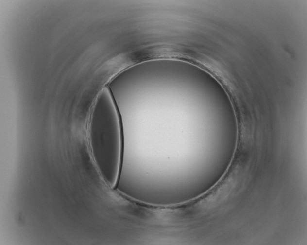 X0000113210897200909171532