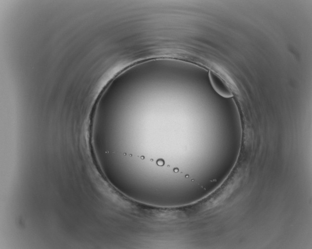 X0000113210899200909171532