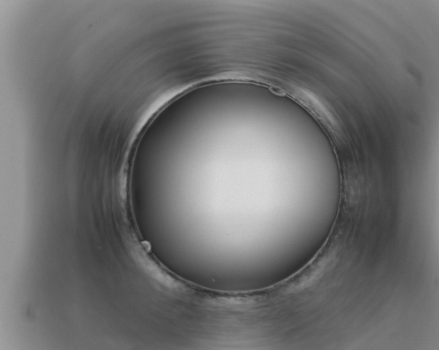 X0000113210900200909171532