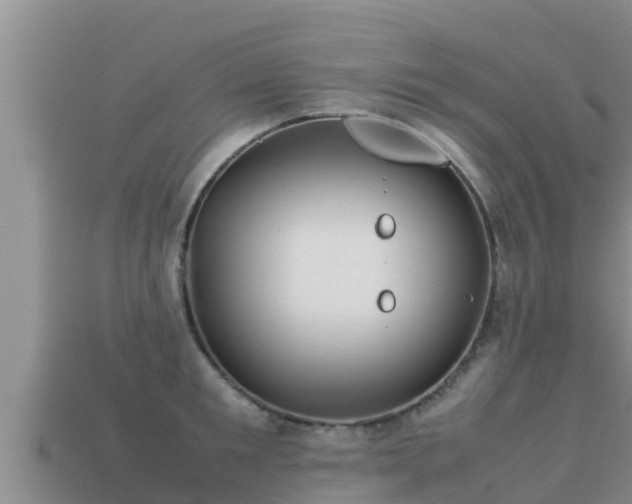 X0000113210901200909171532