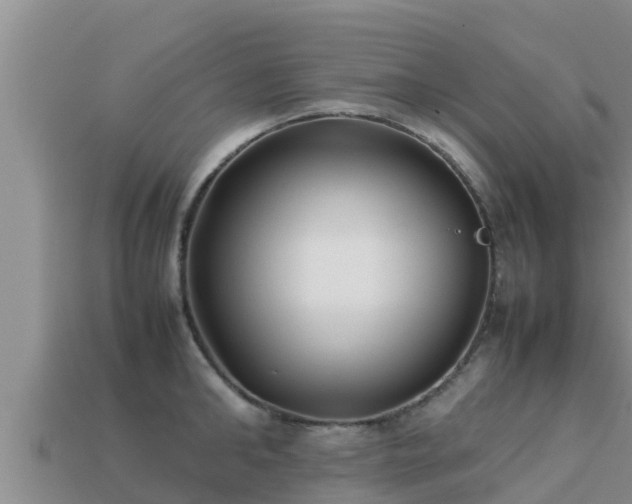 X0000113210902200909171532