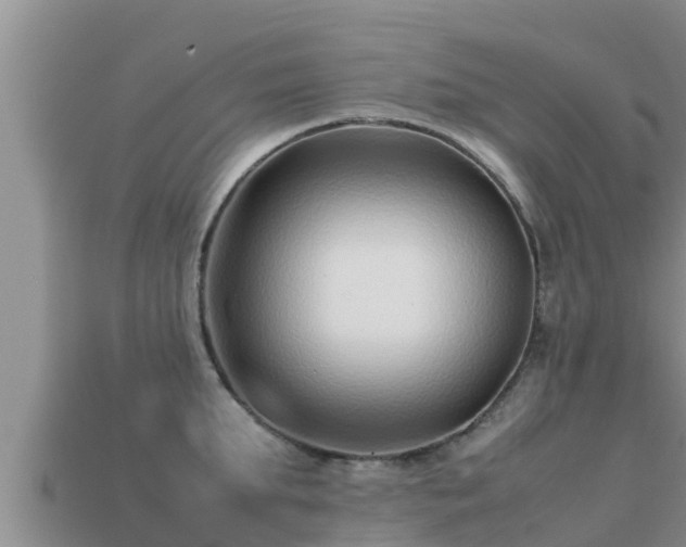 X0000113210903200909171532