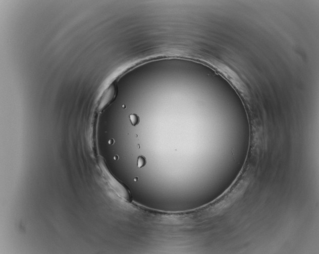 X0000113210904200909171532