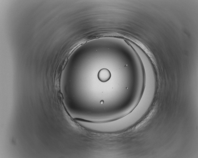 X0000113210905200909171532