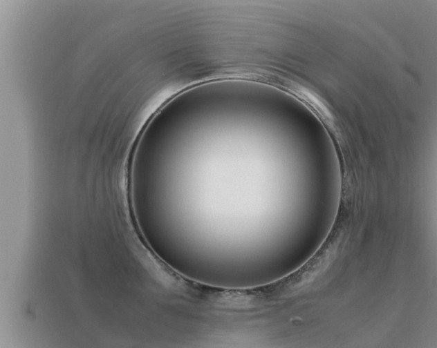 X0000113210907200909171532