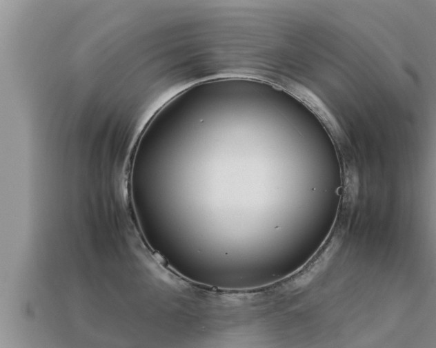 X0000113210908200909171532