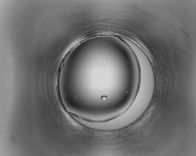 X0000113210909200909171532