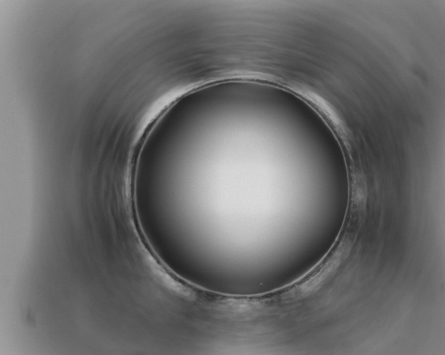 X0000113210910200909171531