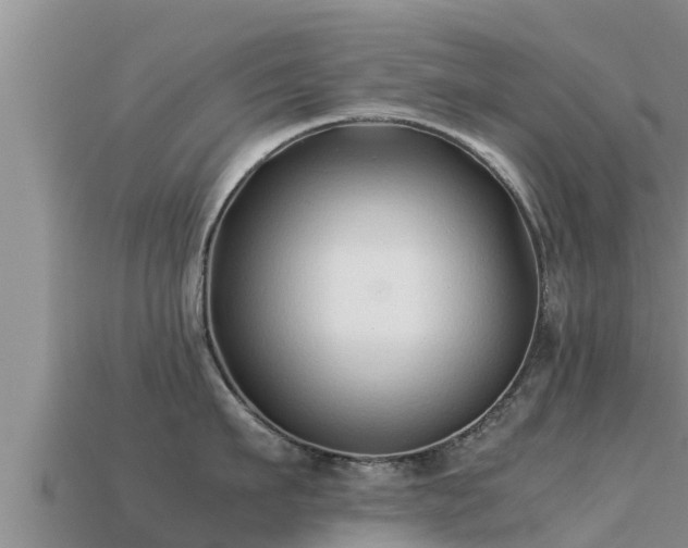 X0000113210911200909171531