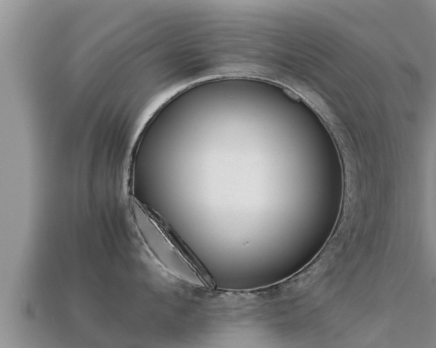 X0000113210912200909171531